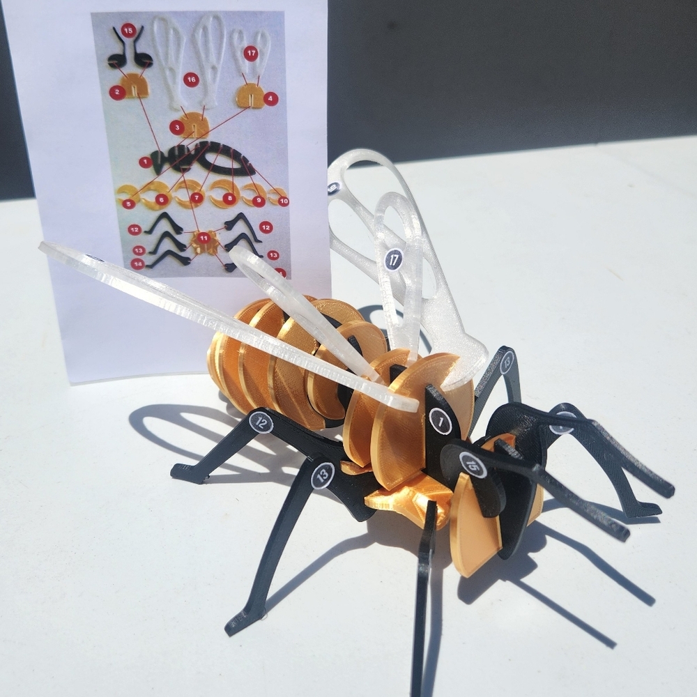 Bee Model Honeybee 3D Puzzle Honey Bees Classroom Science STEM Craft Insect Bugs